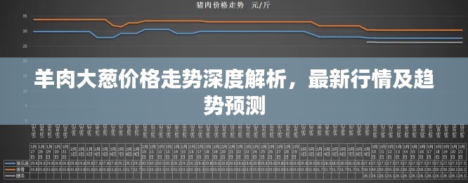 羊肉大葱价格走势深度解析,最新行情及趋势预测