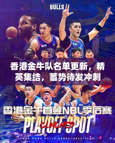 香港金牛队名单更新，精英集结，蓄势待发冲刺荣耀