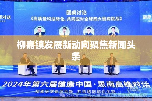 柳嘉镇发展新动向聚焦新闻头条