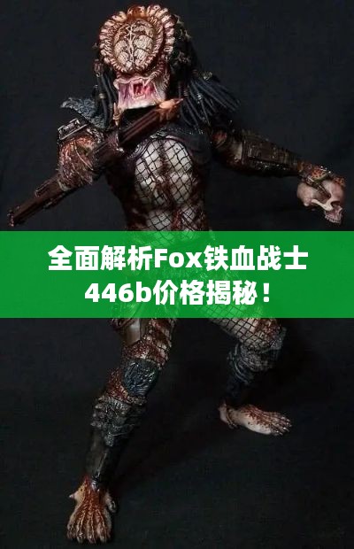 全面解析Fox铁血战士446b价格揭秘!