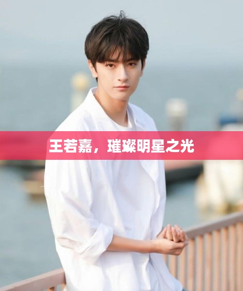王若嘉,璀璨明星之光