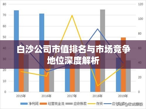 白沙公司市值排名与市场竞争地位深度解析