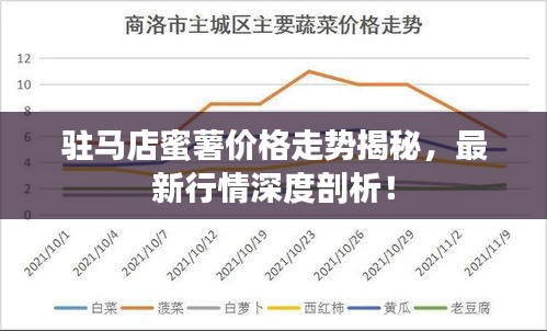 驻马店蜜薯价格走势揭秘,最新行情深度剖析!