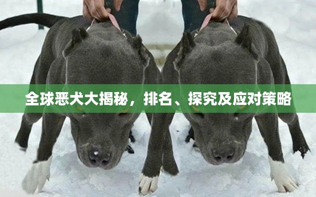 全球恶犬大揭秘,排名、探究及应对策略