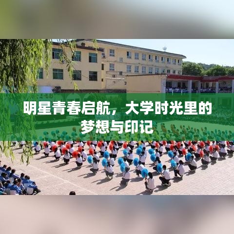 明星青春启航，大学时光里的梦想与印记