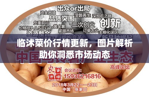 临沭菜价行情更新,图片解析助你洞悉市场动态
