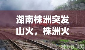湖南株洲突发山火,株洲火灾事故