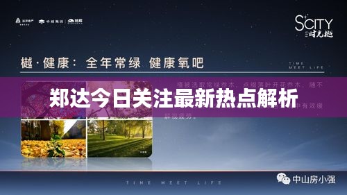 郑达今日关注最新热点解析