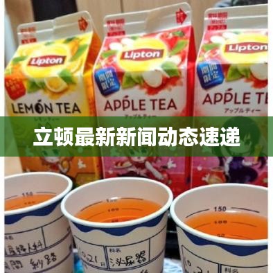 立顿最新新闻动态速递