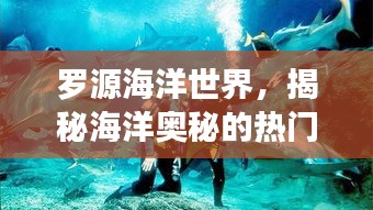 罗源海洋世界,揭秘海洋奥秘的热门胜地,影响力排名前列!