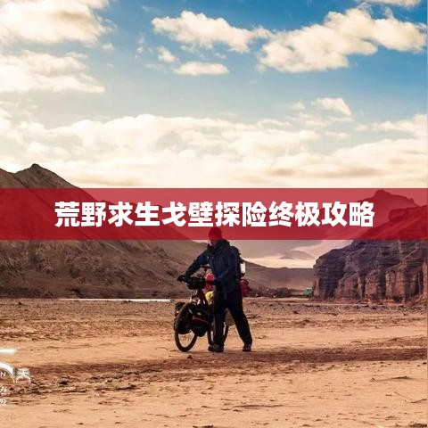 荒野求生戈壁探险终极攻略