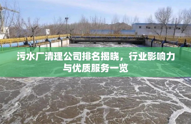 污水厂清理公司排名揭晓,行业影响力与优质服务一览