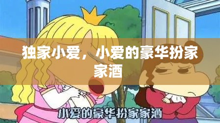 独家小爱,小爱的豪华扮家家酒