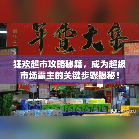 狂欢超市攻略秘籍,成为超级市场霸主的关键步骤揭秘!