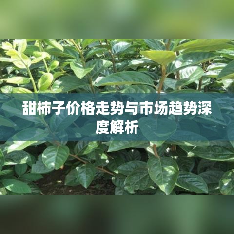 甜柿子价格走势与市场趋势深度解析