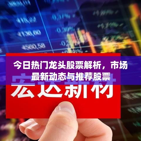 今日热门龙头股票解析,市场最新动态与推荐股票