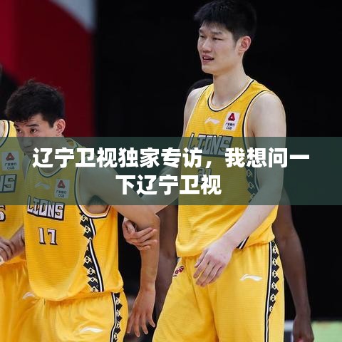 辽宁卫视独家专访,我想问一下辽宁卫视