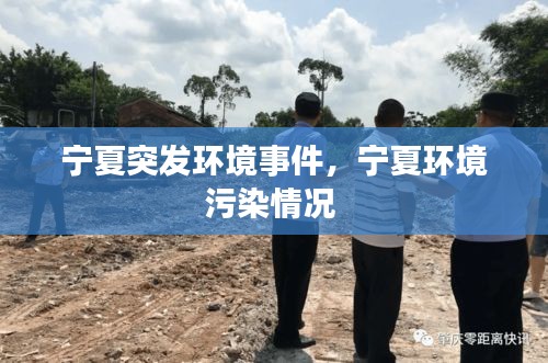 宁夏突发环境事件,宁夏环境污染情况