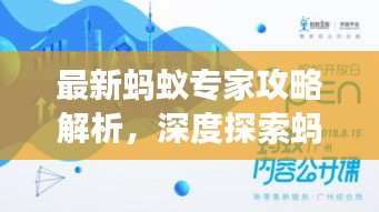 最新蚂蚁专家攻略解析,深度探索蚂蚁生态与高效利用之道