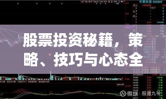股票投资秘籍,策略、技巧与心态全解析,助你成为炒股高手(第49期)
