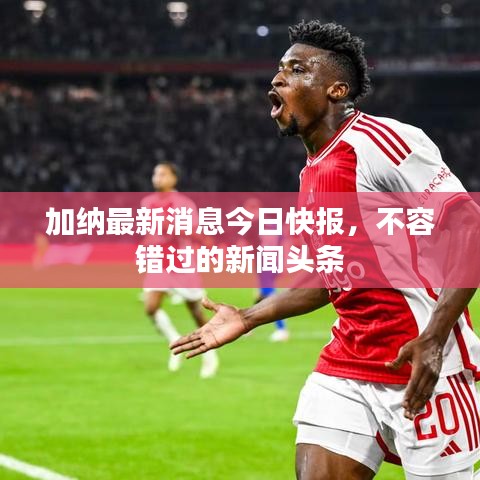 不堪造就 第2页